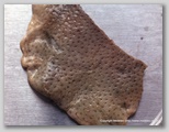 wound image